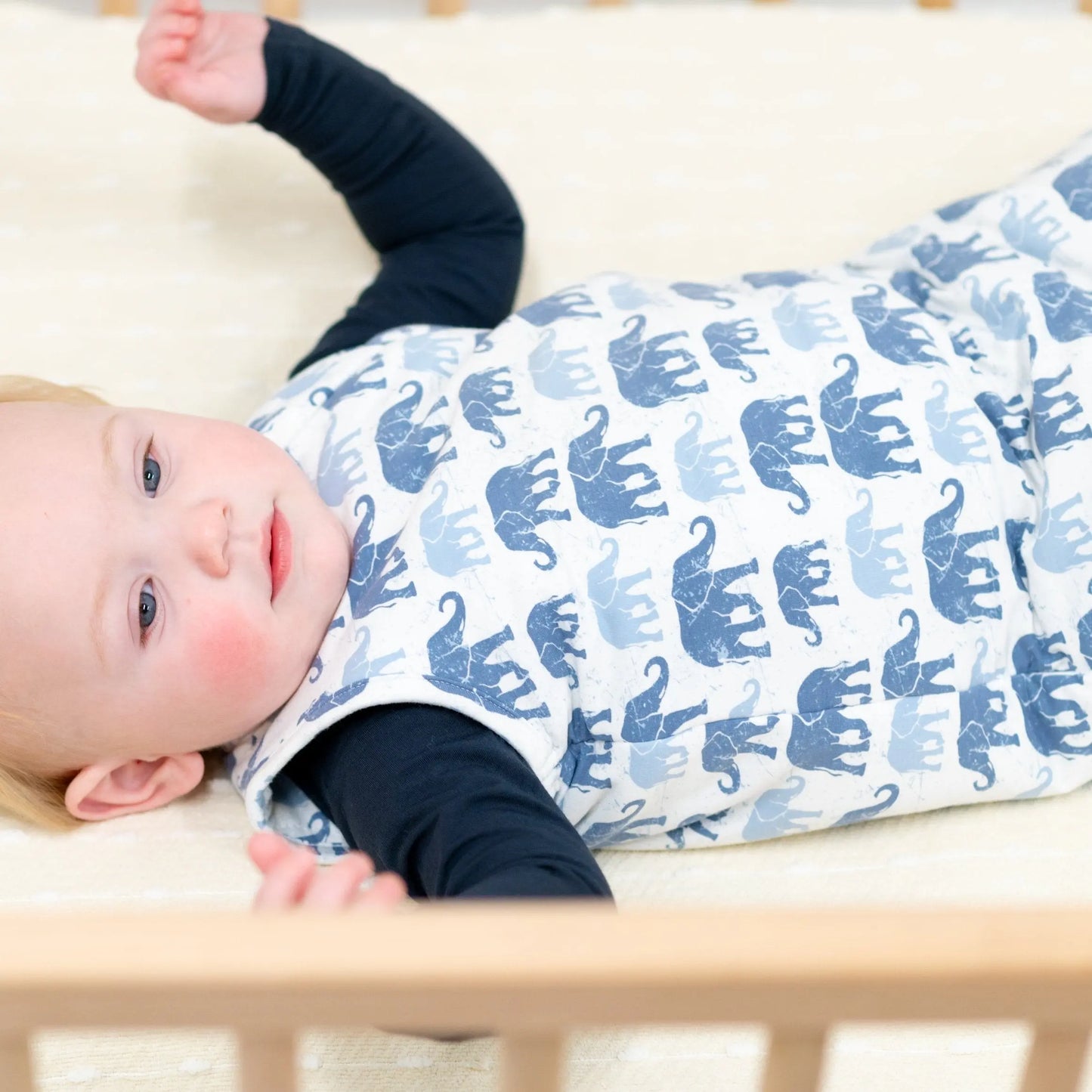 Blue Elephant Sleep Sack for Infants with 2 Way J Zipper and Quilted Lining Size 0 to 9 Months Sweet Bamboo