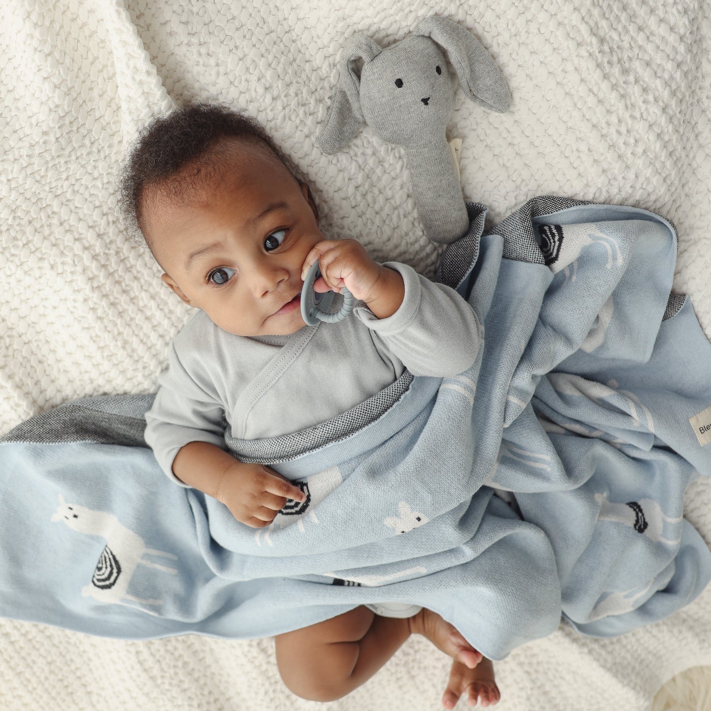 Luxury Knit Llama Swaddle Baby Blanket - Pure Cotton Comfort for Newborns Bleu La La