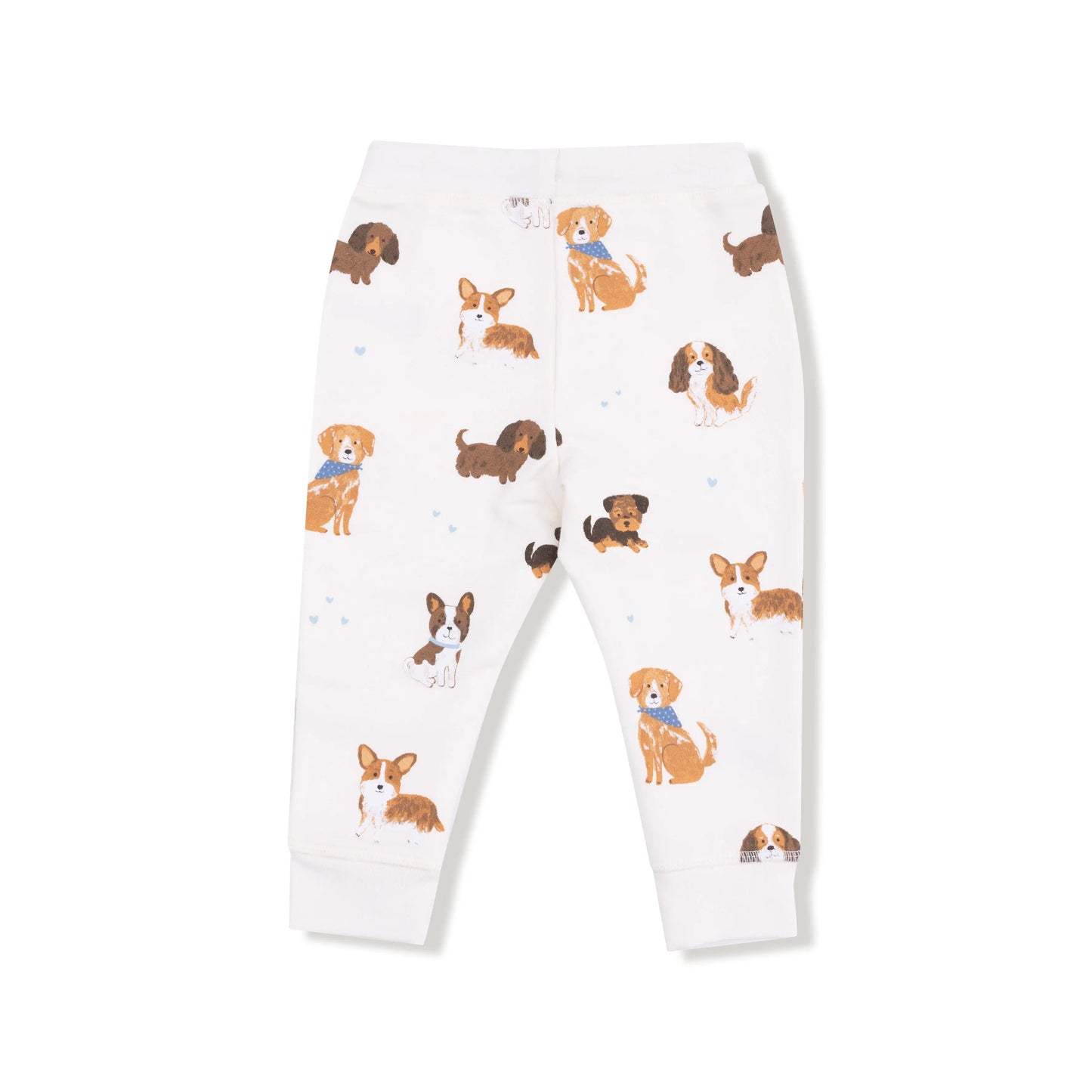 Angel Dear French Terry Jogger Pant For Kids Warm Winter Angel Dear Everetts Place: Online Boutique