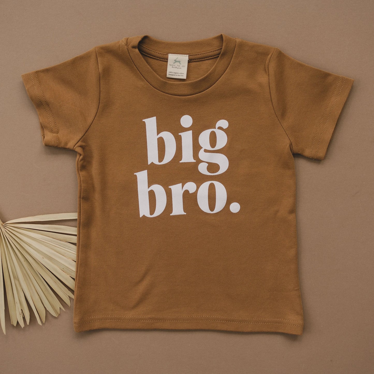 Big Bro Organic Cotton T-Shirt - more colors Little Joy Co. Everetts Place: Online Boutique