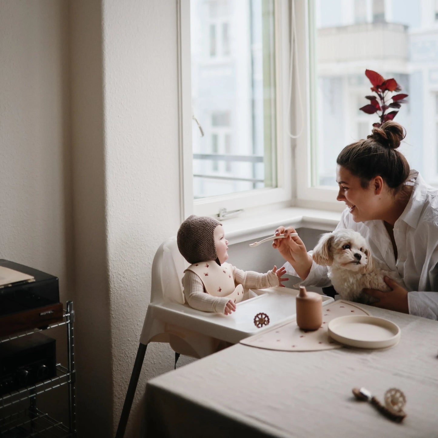 Classic Silicone Suction Plate for Kids Safe Non Slip Feeding Solution Mushie Everetts Place: Online Boutique