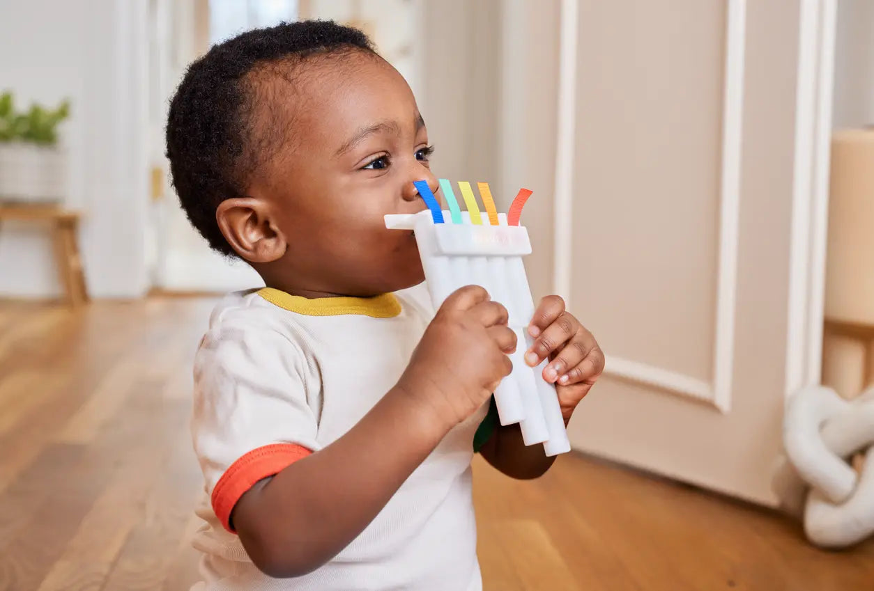 The Music Set for Educational Development and Cognitive Growth.