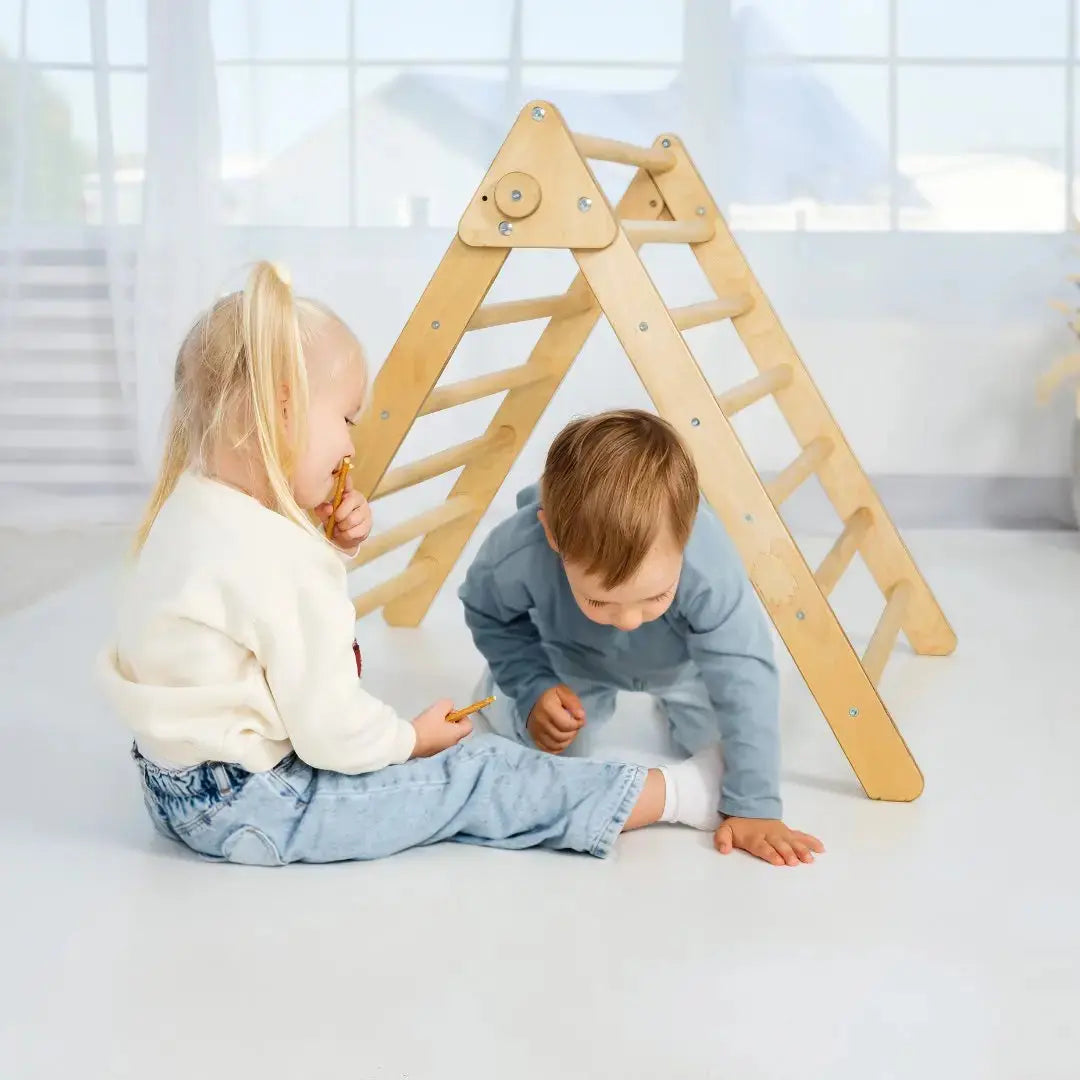 Indoor Montessori Triangle Climbing Ladder for Toddlers Age 1 to 7 Goodevas Everetts Place: Online Boutique