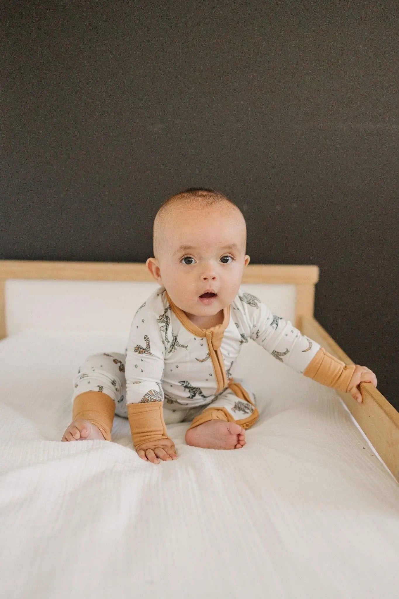 Little Joy Co. Mummy Saurus Rex Bamboo Zippy Romper Newborn To Three Months - Apparel & Accessories > Clothing > Baby & Toddler Clothing > Baby & Toddler Sleepwear