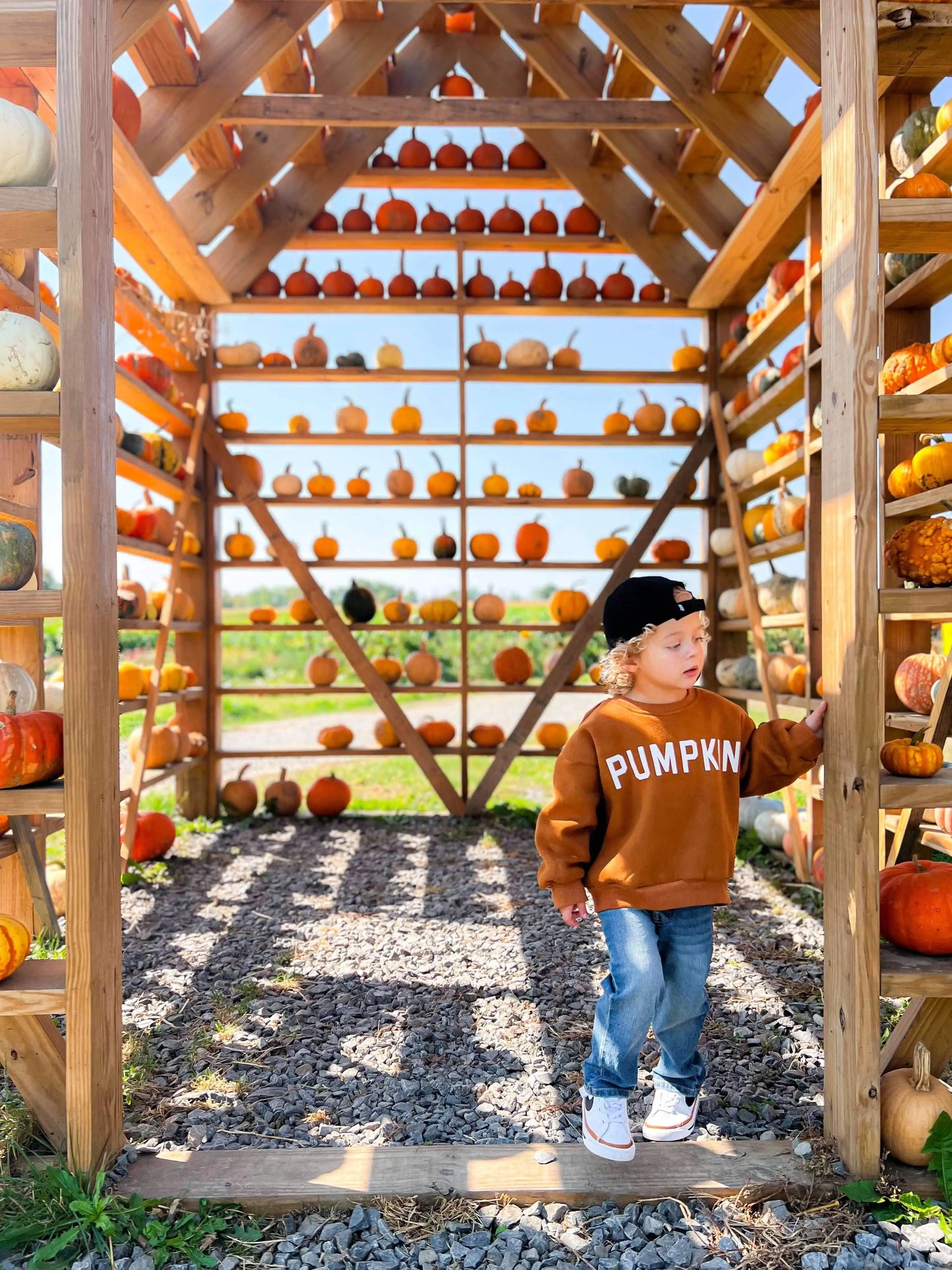 Pumpkin Graphic Crewneck Sweatshirt For Kids Cotton Fleece Little Joy Co. Everetts Place: Online Boutique