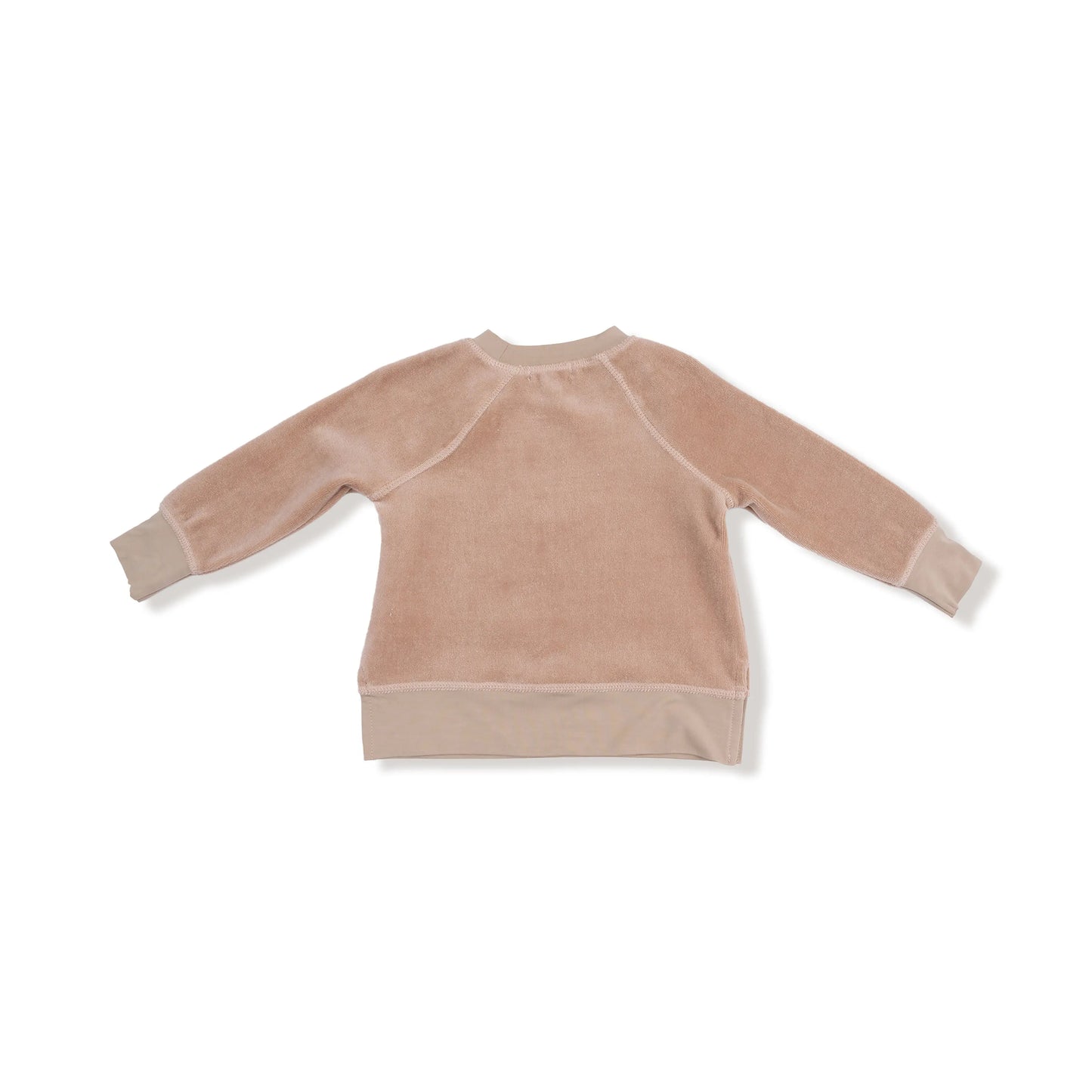Raglan Sweatshirt and Jogger Set with Teddy Bear Applique Angel Dear Everetts Place: Online Boutique
