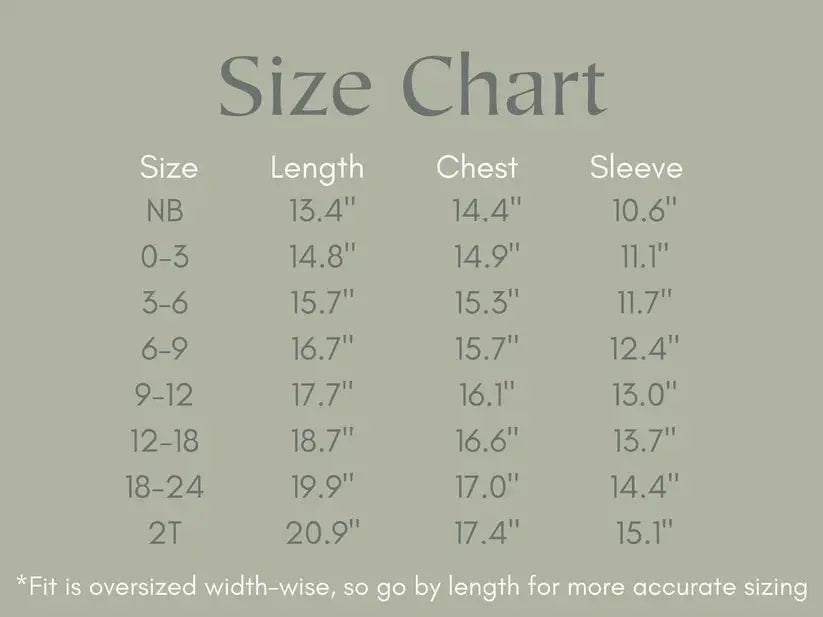 Little Joy Co. Silly Goose Bamboo Baby Romper Teal Or Blue Little Joy Co - Apparel & Accessories > Clothing > Baby & Toddler Clothing > Baby One-Pieces