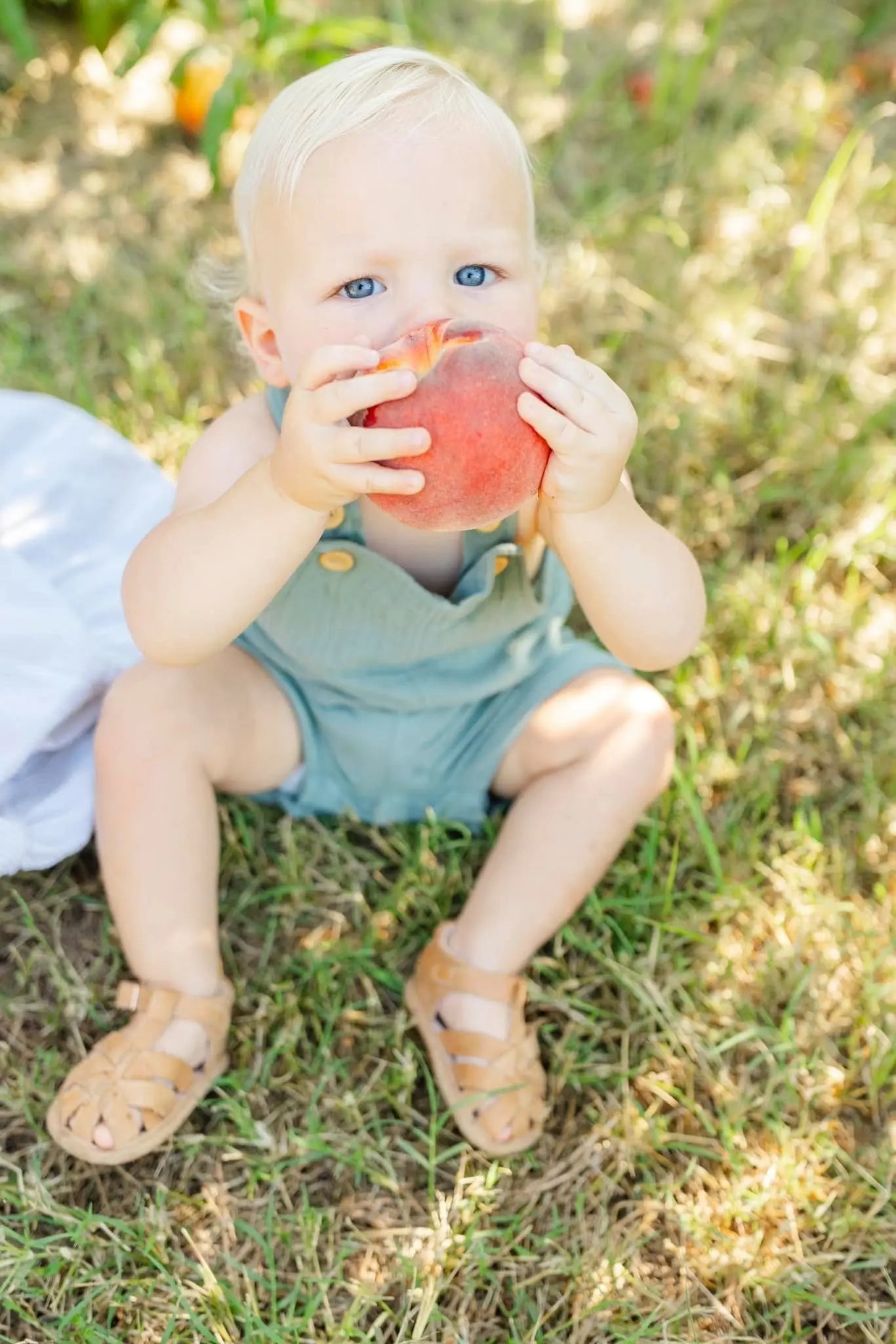 The Closed Toe Sandal Little Love Bug Co.