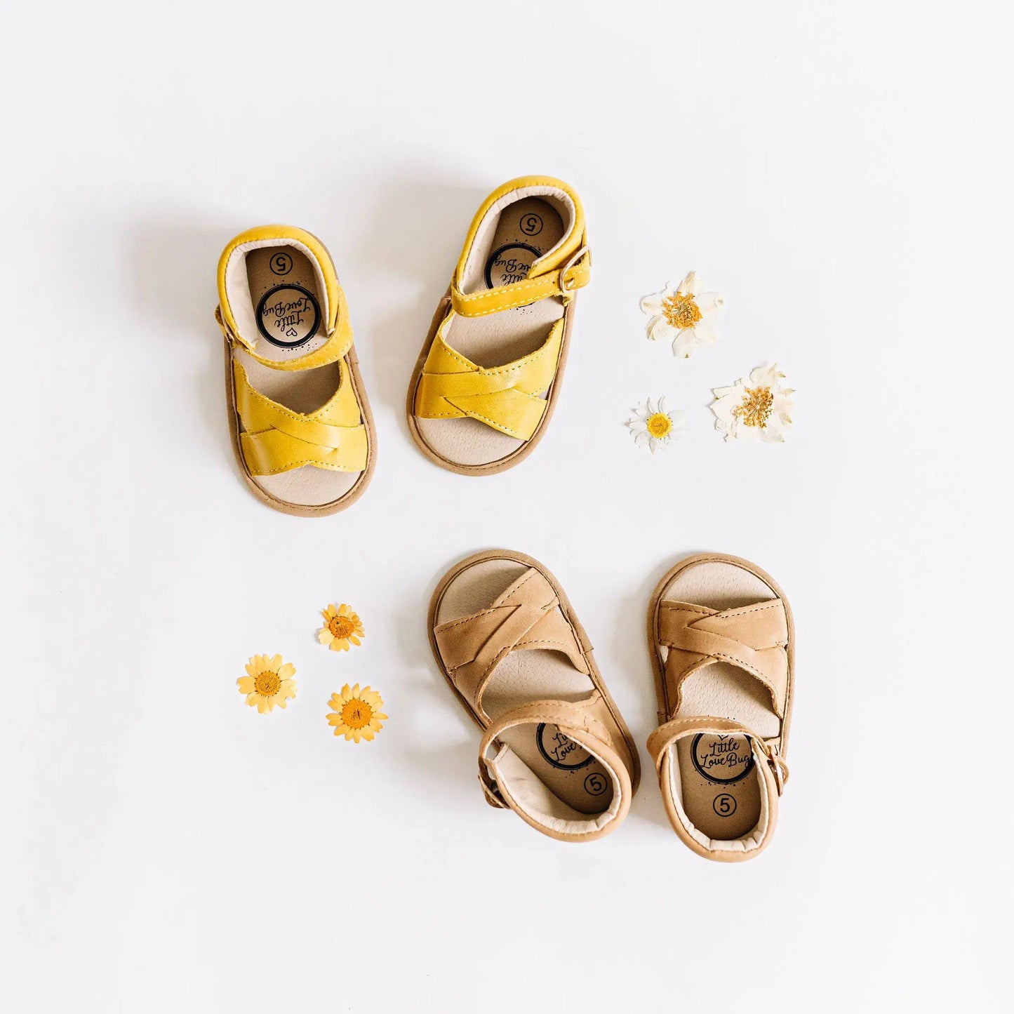 The Sebby Sandal Little Love Bug Co.