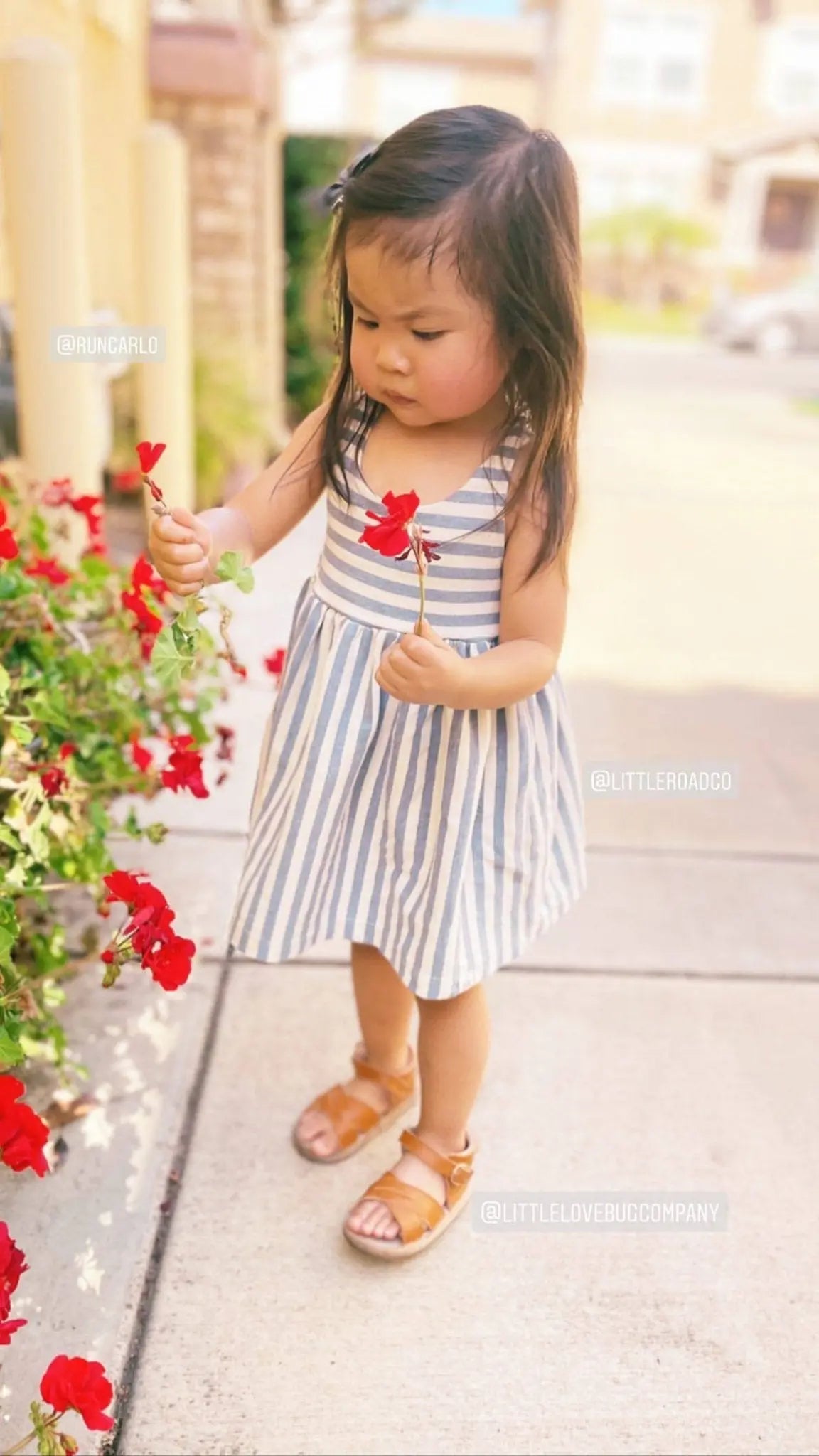 The Sebby Sandal Little Love Bug Co.