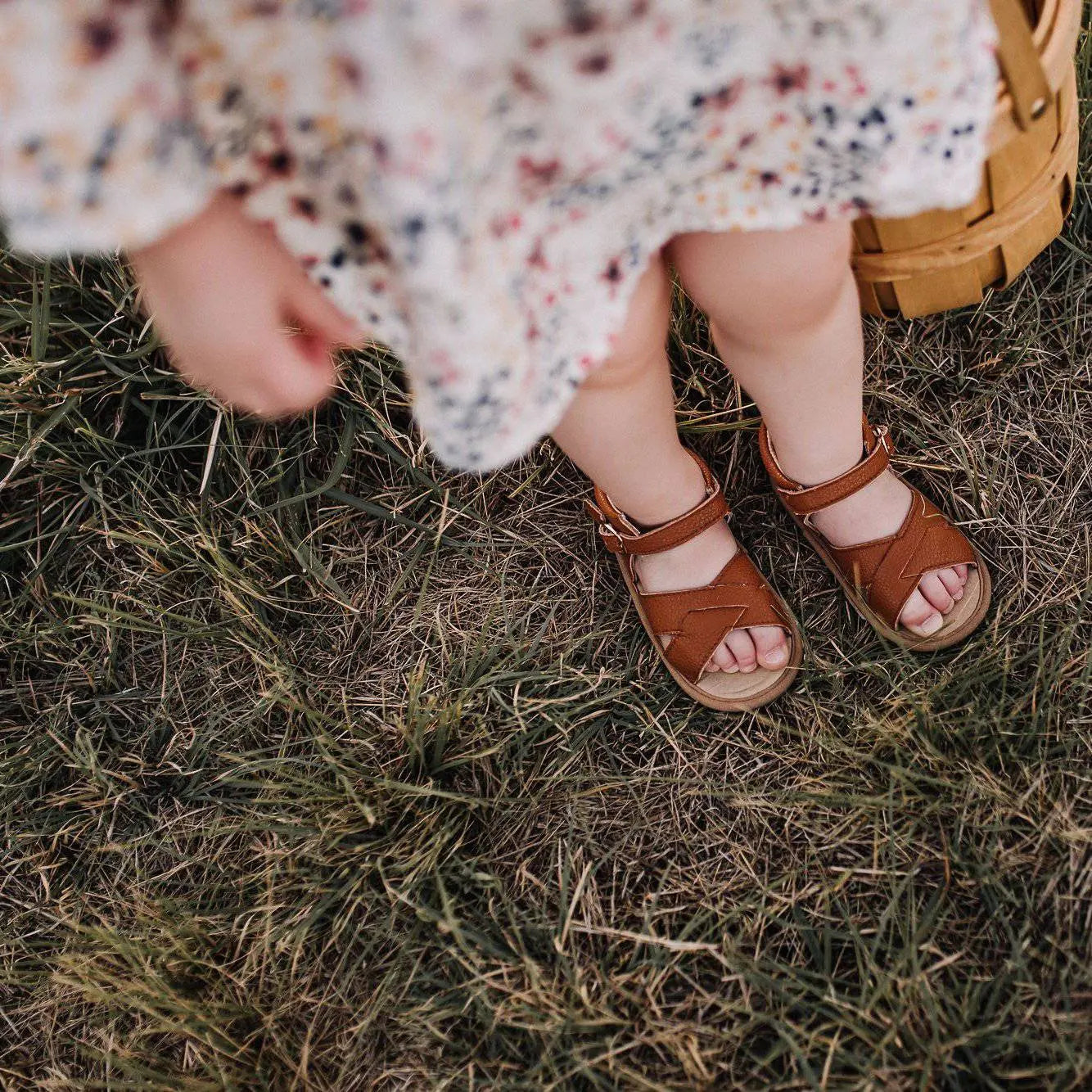 The Sebby Sandal Little Love Bug Co.