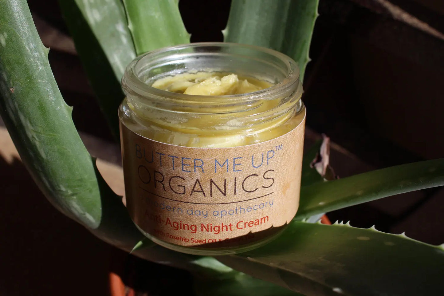 Anti Aging Night Cream Face Moisturizer with Organic Green Tea Extract Butter Me Up Organics