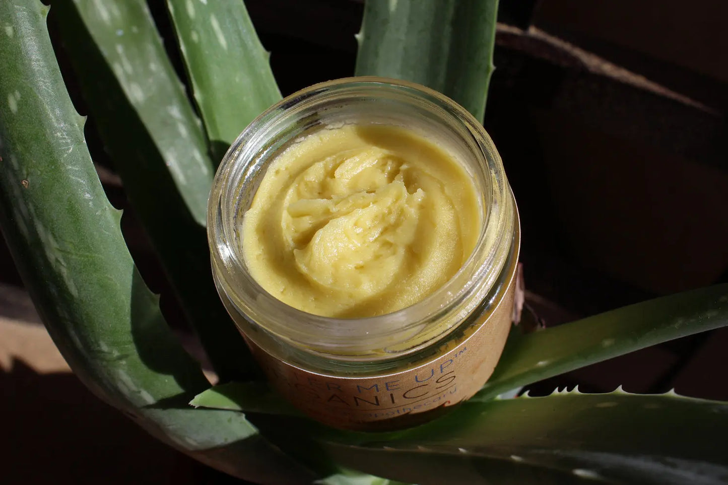 Anti Aging Night Cream Face Moisturizer with Organic Green Tea Extract Butter Me Up Organics