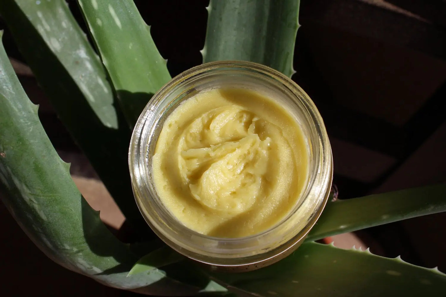 Anti Aging Night Cream Face Moisturizer with Organic Green Tea Extract Butter Me Up Organics