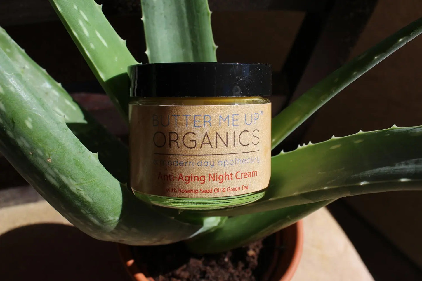Anti Aging Night Cream Face Moisturizer with Organic Green Tea Extract Butter Me Up Organics