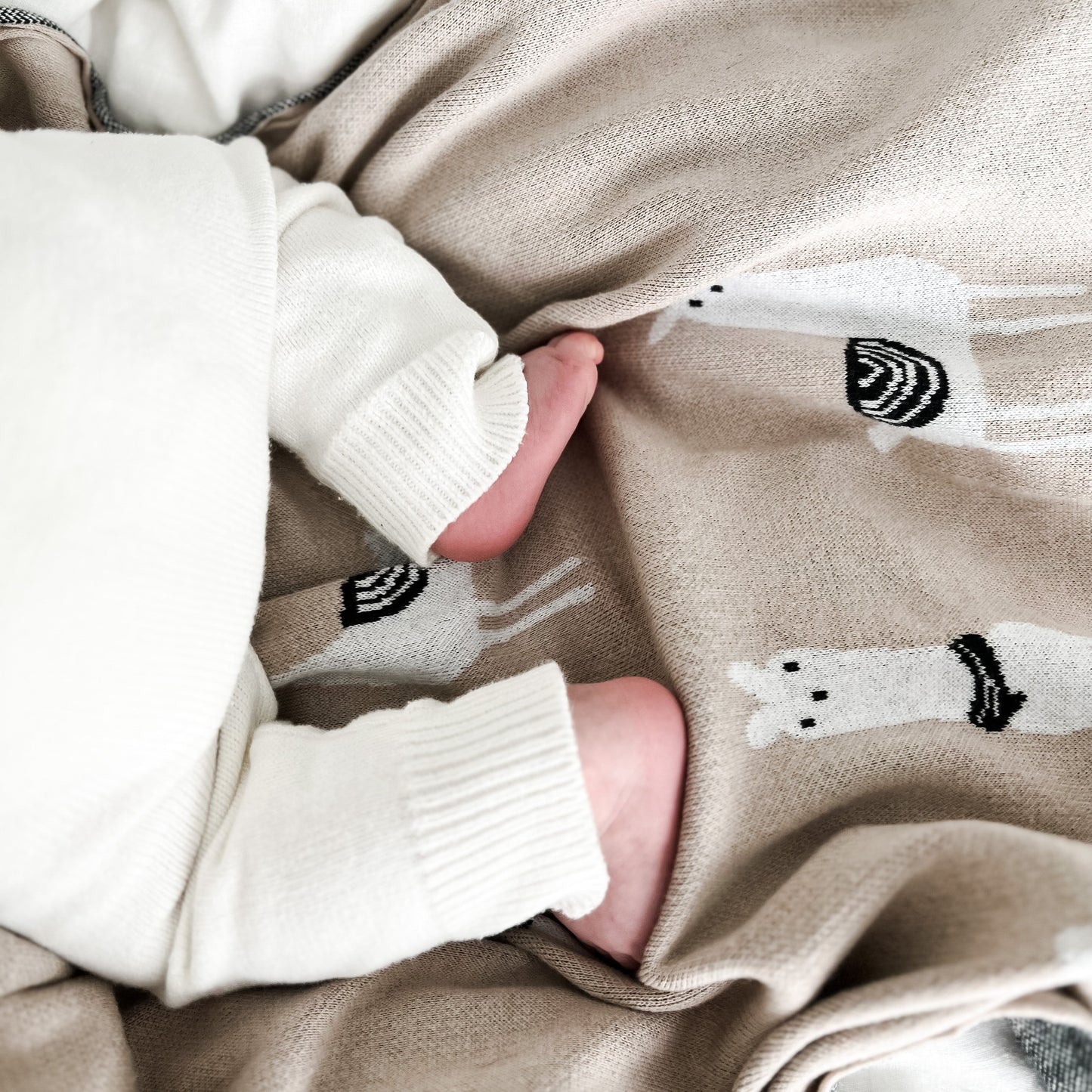 Luxury Knit Llama Swaddle Baby Blanket - Pure Cotton Comfort for Newborns Bleu La La