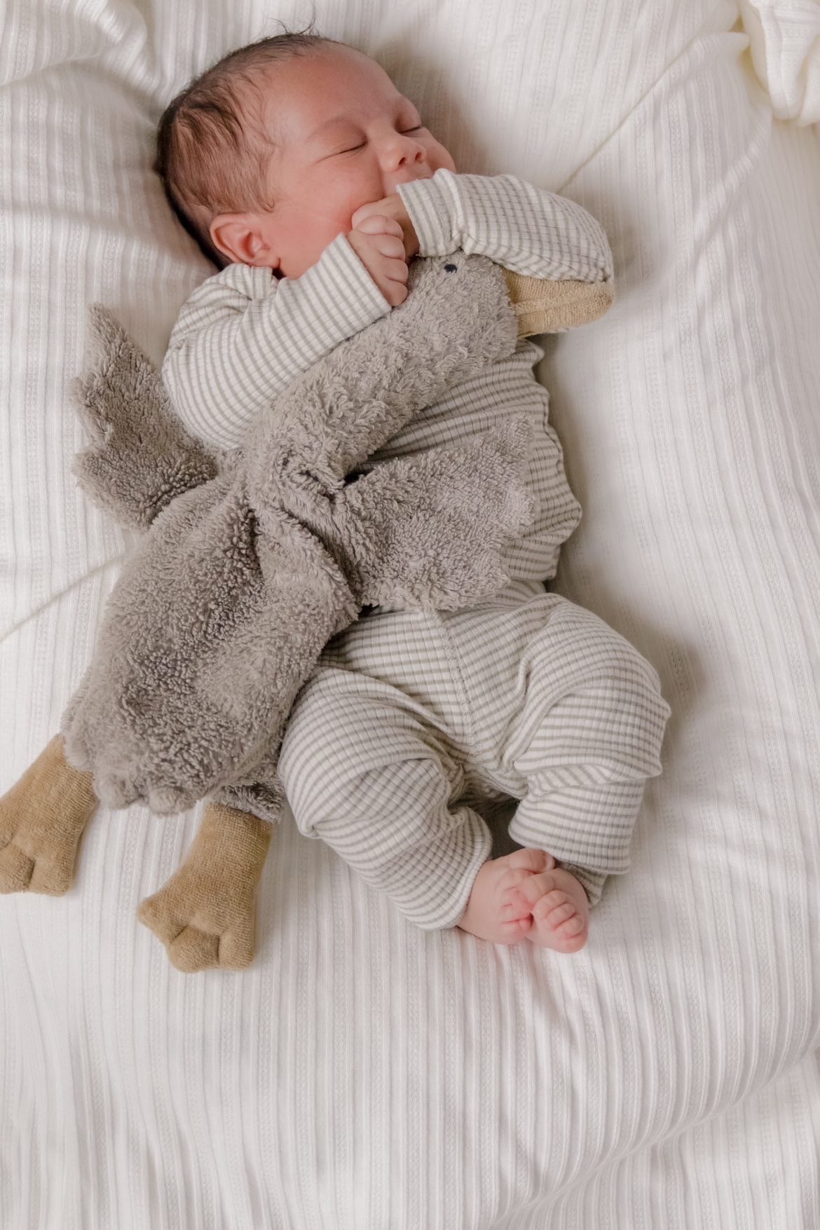 Cloud Knit Pointelle Stretch Swaddle Blanket For Newborns Little Mae & Co Everetts Place: Online Boutique