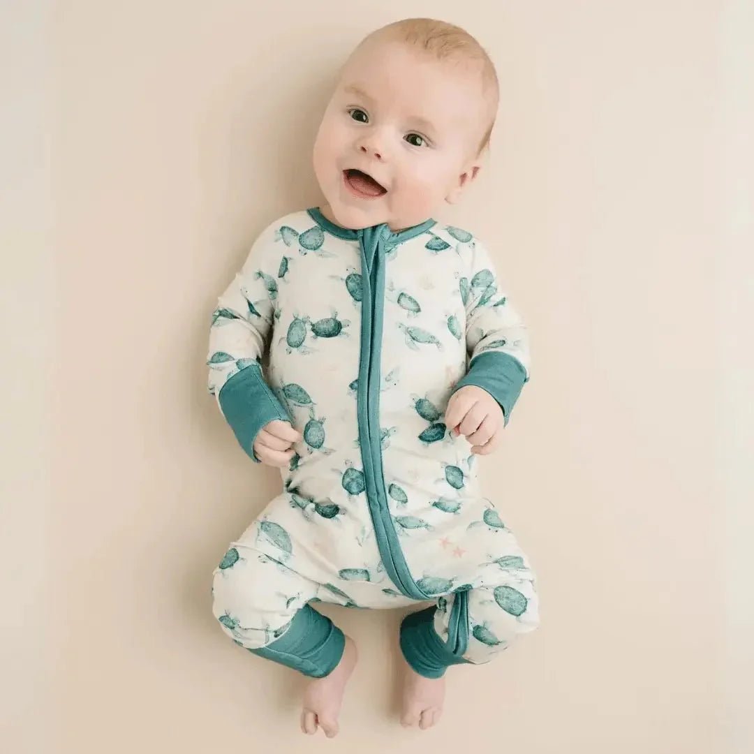 Kolorful - Everetts Place 