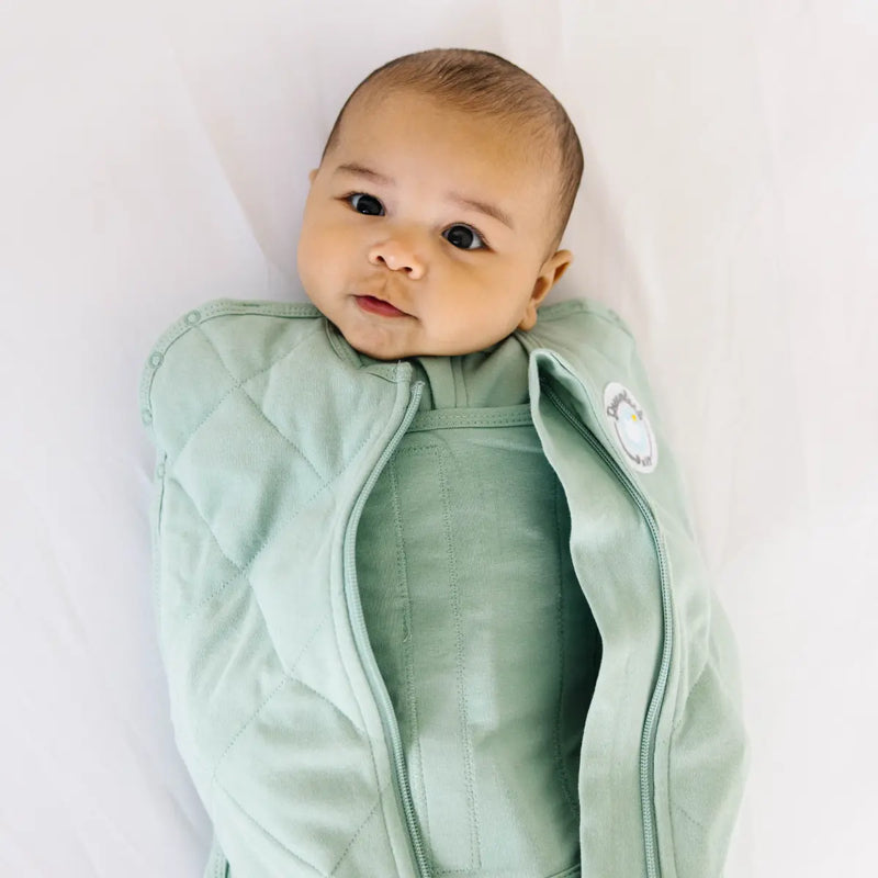 Dream Weighted Sleep Swaddle Dreamland Baby