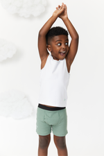 Multi Combed Cotton Elastane Boxer Briefs, Tagless, 3-Pack by Feathers USA