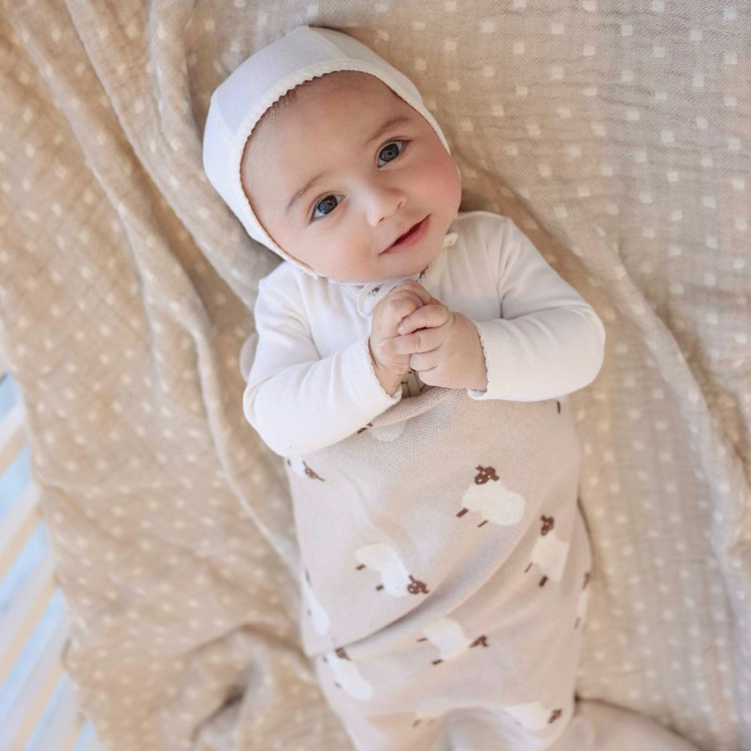 Whimsy Collection Luxury 100 Percent Cotton Knit Swaddle Baby Blanket Bleu La La