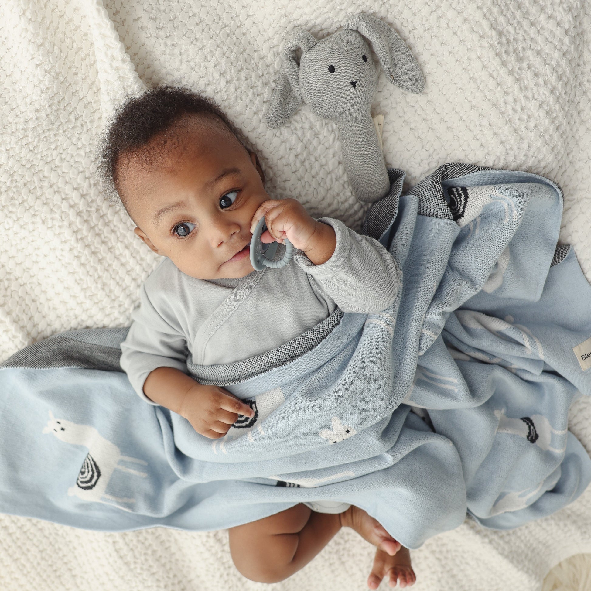 Luxury Knit Llama Swaddle Baby Blanket - Pure Cotton Comfort for Newborns Bleu La La