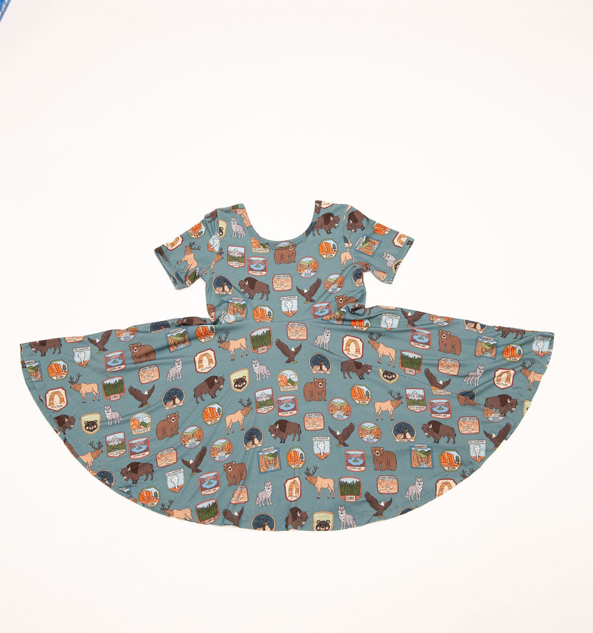 My First National Parks Adventure Girls Dress | Nature Print Dress Sizes 2-6 by Rayn’s Tiny Stitches