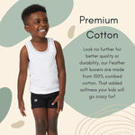 Multi Combed Cotton Elastane Boxer Briefs, Tagless, 3-Pack by Feathers USA