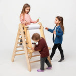 Goodevas 5in1 Montessori Climbing Set: Triangle Ladder + Climbing Arch + Slide Board + Climbing Net + Art Addition - 