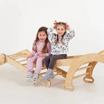 Goodevas 6in1 Montessori Climbing Set Triangle Ladder Arch Rocker Slide Ramp Net Cushion Art Addition - Everetts Place Boutique - 