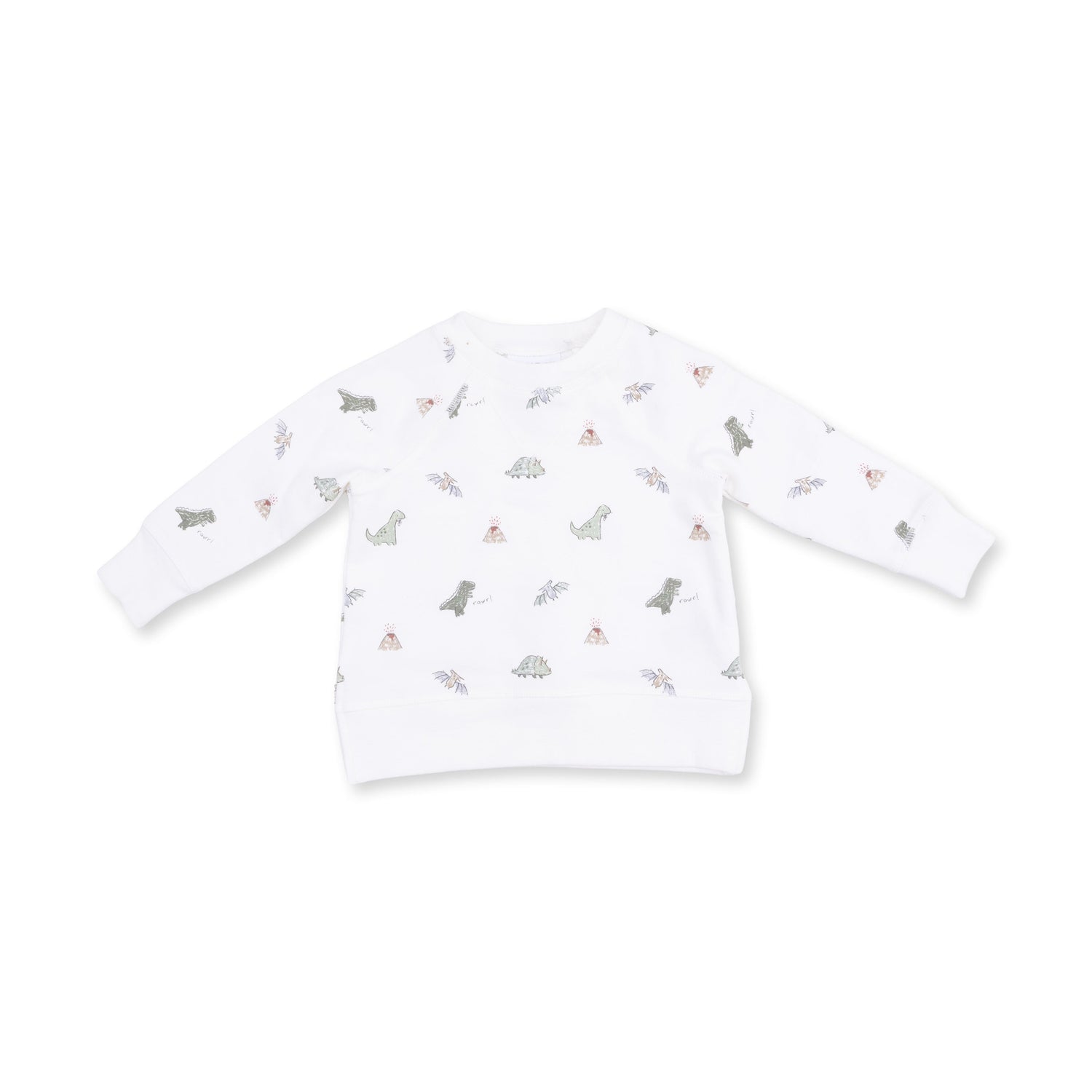 Playful Dinosaur Print Raglan Sweatshirt by Angel Dear (view 2 of 4)