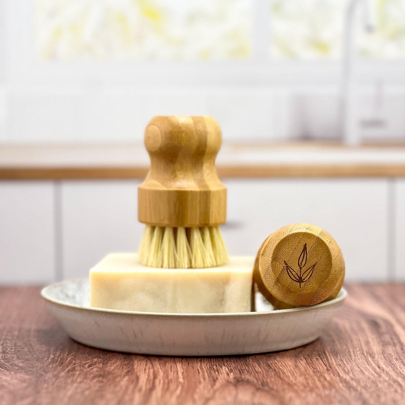 Sustainable bamboo pot brush with natural sisal bristles on a soap dish in a kitchen setting.