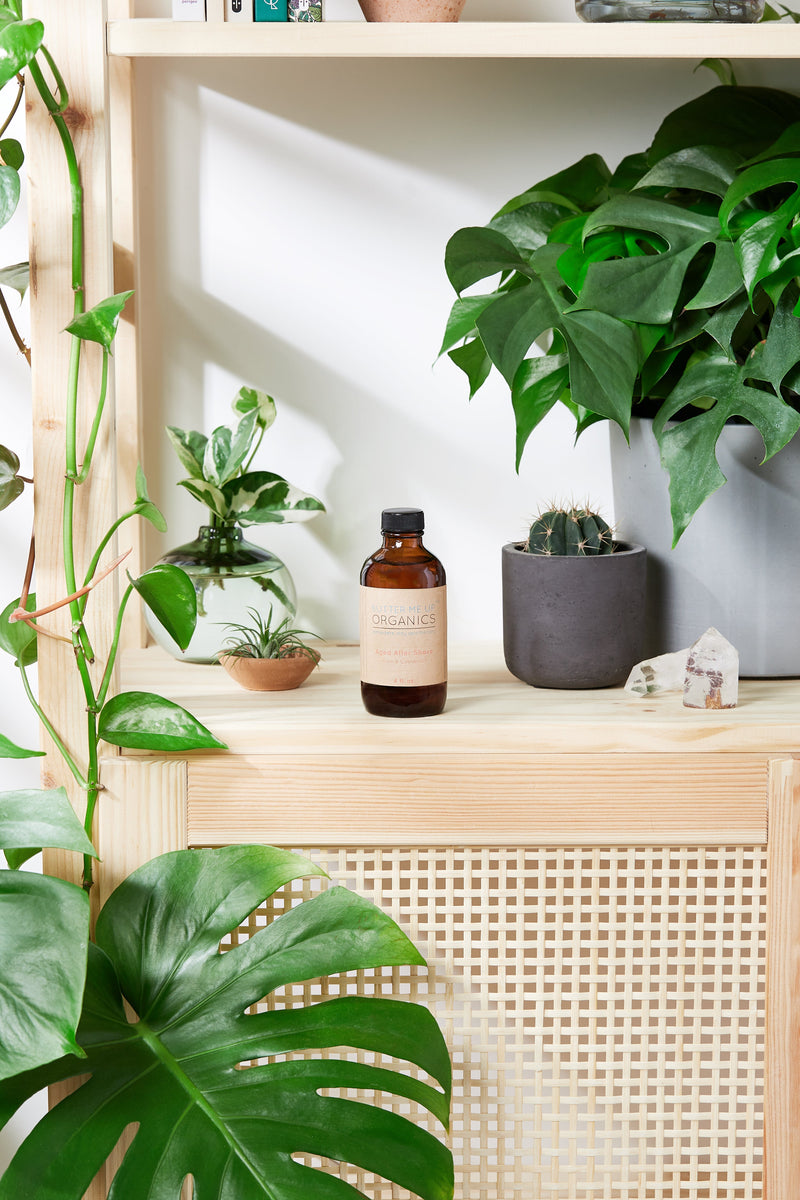 Natural aged aftershave bottle on wooden shelf with green plants.