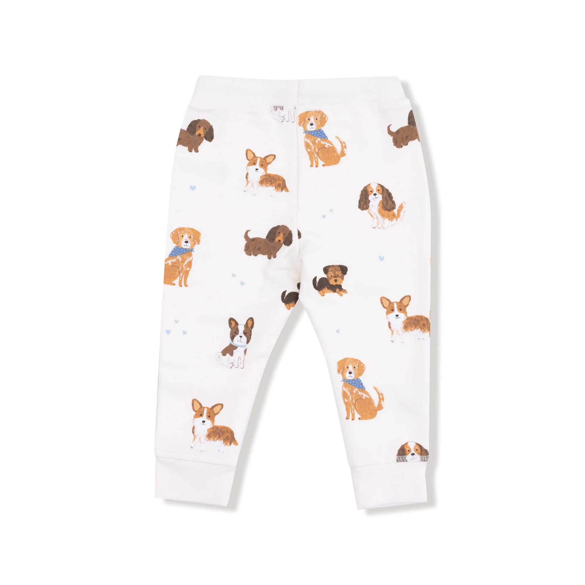 Angel Dear French Terry Jogger Pant For Kids Warm Winter Angel Dear Everetts Place: Online Boutique