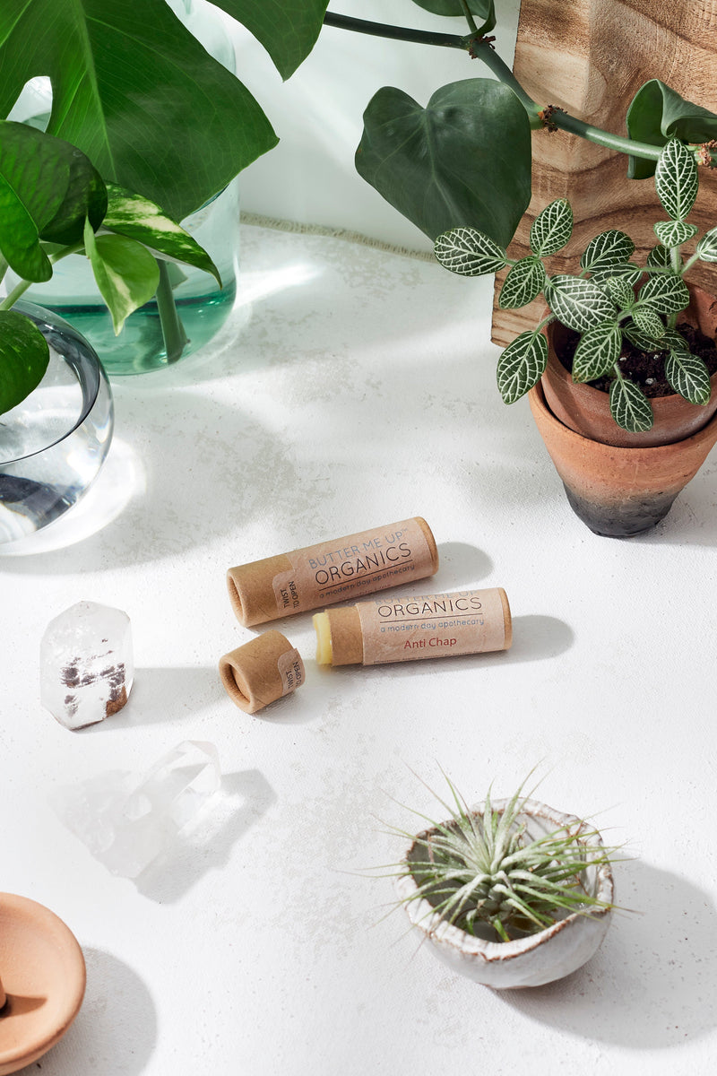 Organic anti-chap lip balm in eco-friendly paperboard tube on a white surface surrounded by plants.