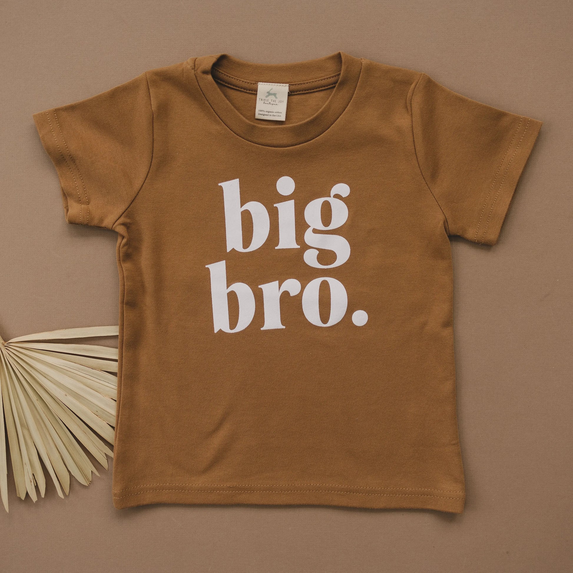 Big Bro Organic Cotton T-Shirt - more colors Little Joy Co. Everetts Place: Online Boutique
