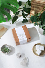 Butter Me Up Organics Organic Toilet Tabs Antibacterial Cleaning Tablets Butter Me Up Organics 
