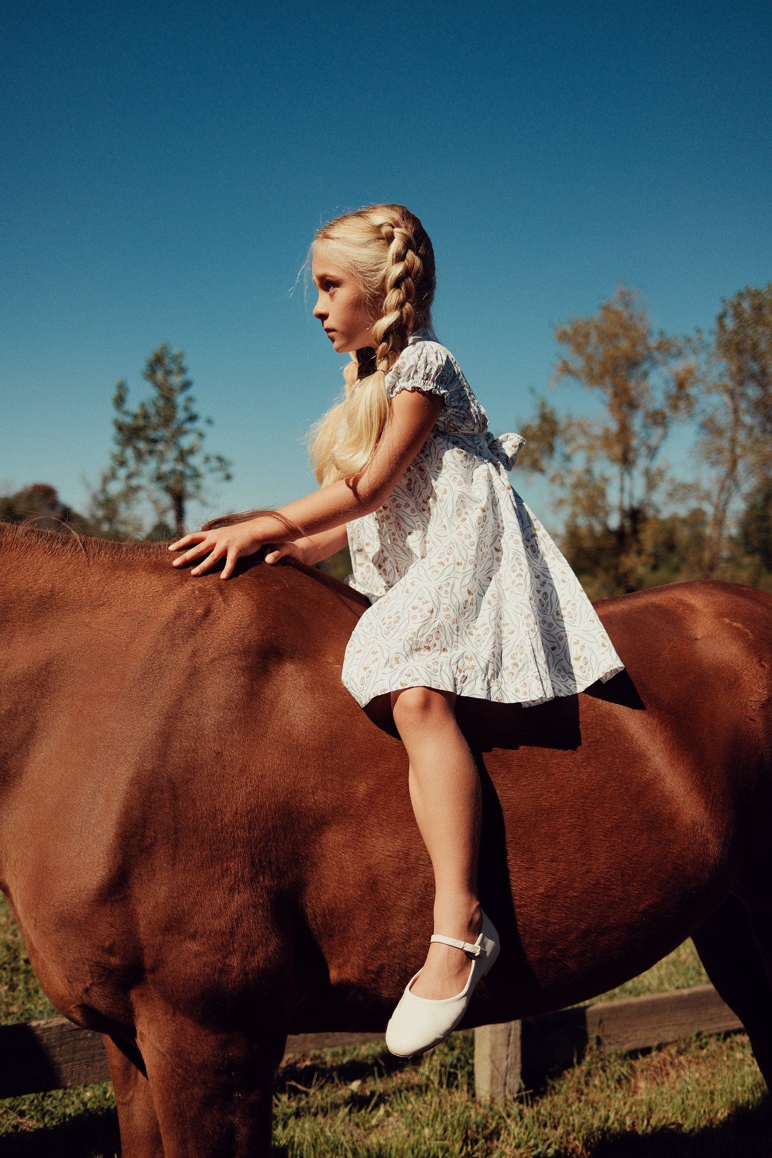 KIPP Collection Dress With Floral Print Back Bow and Ruffle Trim For Girls