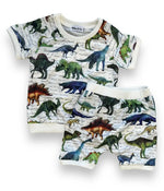 Dinosaur T-Shirt & Short Set Miller & Co. Everetts Place Boutique