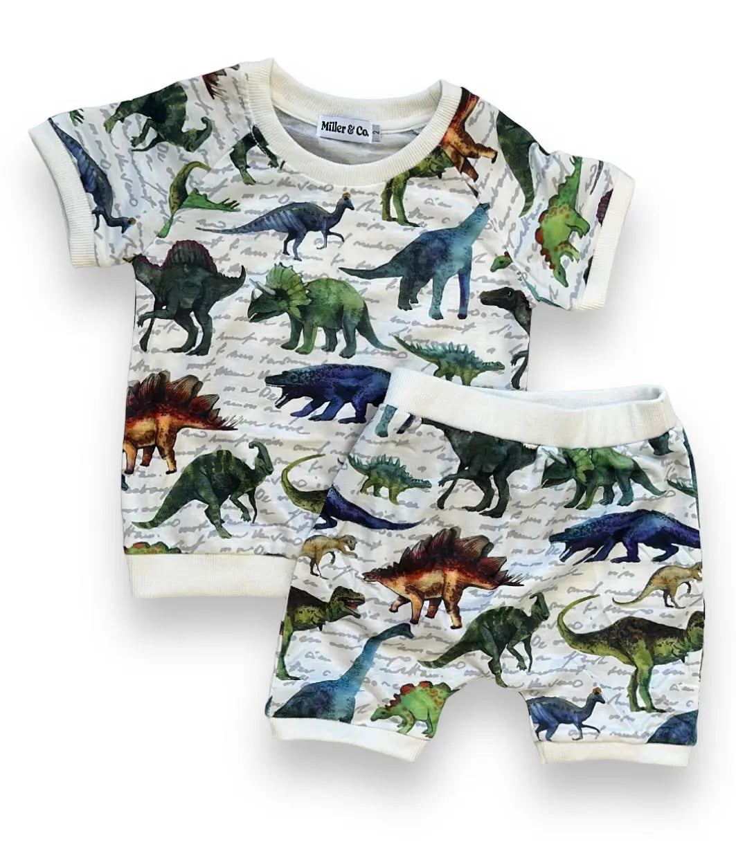 Dinosaur T-Shirt & Short Set Miller & Co. Everetts Place Boutique