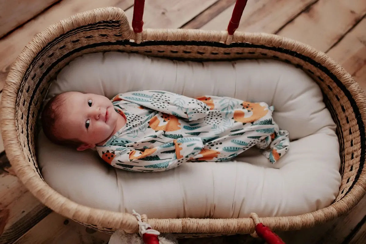 Three Little Tots Dinosaur Themed Newborn Knotted Gown - 