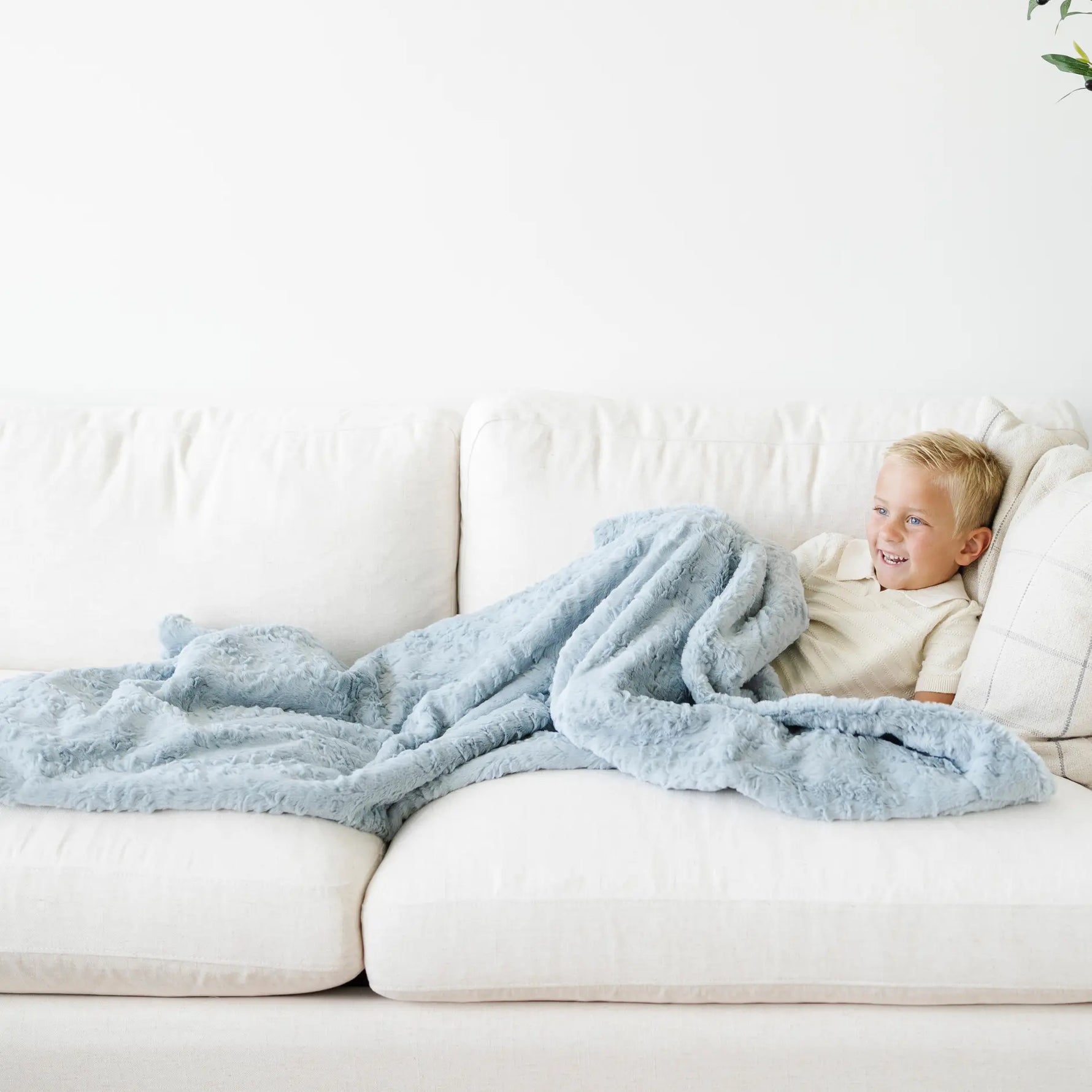Dream Toddler Blankets Luxuriously Soft Microfiber Saranoni Saranoni Everetts Place Boutique