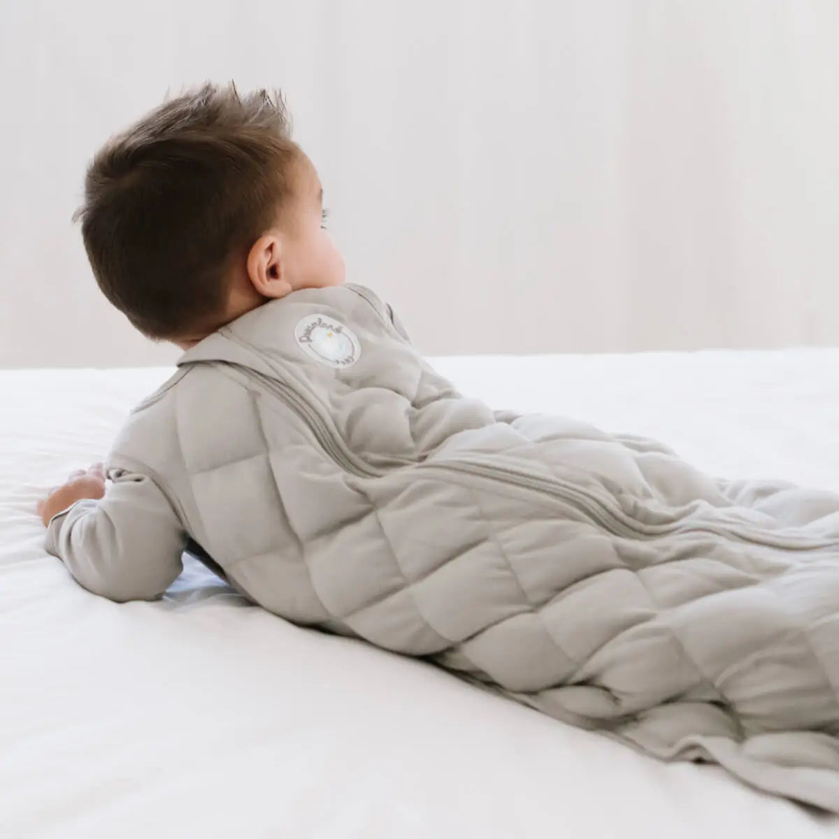 Dream Weighted Sleep Sack Dreamland Baby 