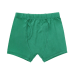 Sweet Bamboo Elmer Fudd Down On The Farm Army Green Boys Briefs 3 Pack - Everetts Place Boutique - 