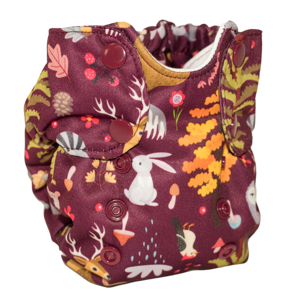 Born Smart 2.0 - Ever After