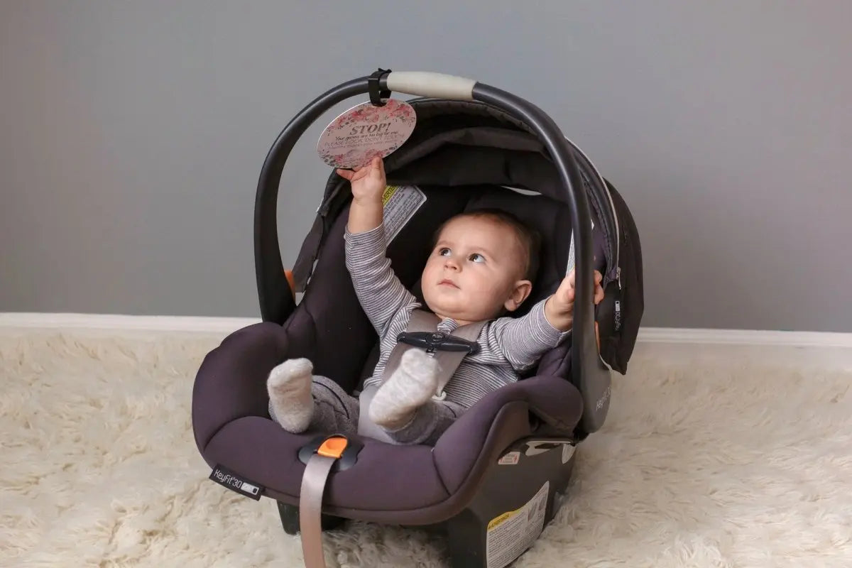 Three Little Tots Flower No Touching Baby Car Seat Sign Tag - 