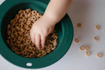Three Little Tots Forest Green Collapsible Bowl for Travel or Home - 