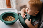 Three Little Tots Forrest Green Silicone Bib with Crumb Catcher - 