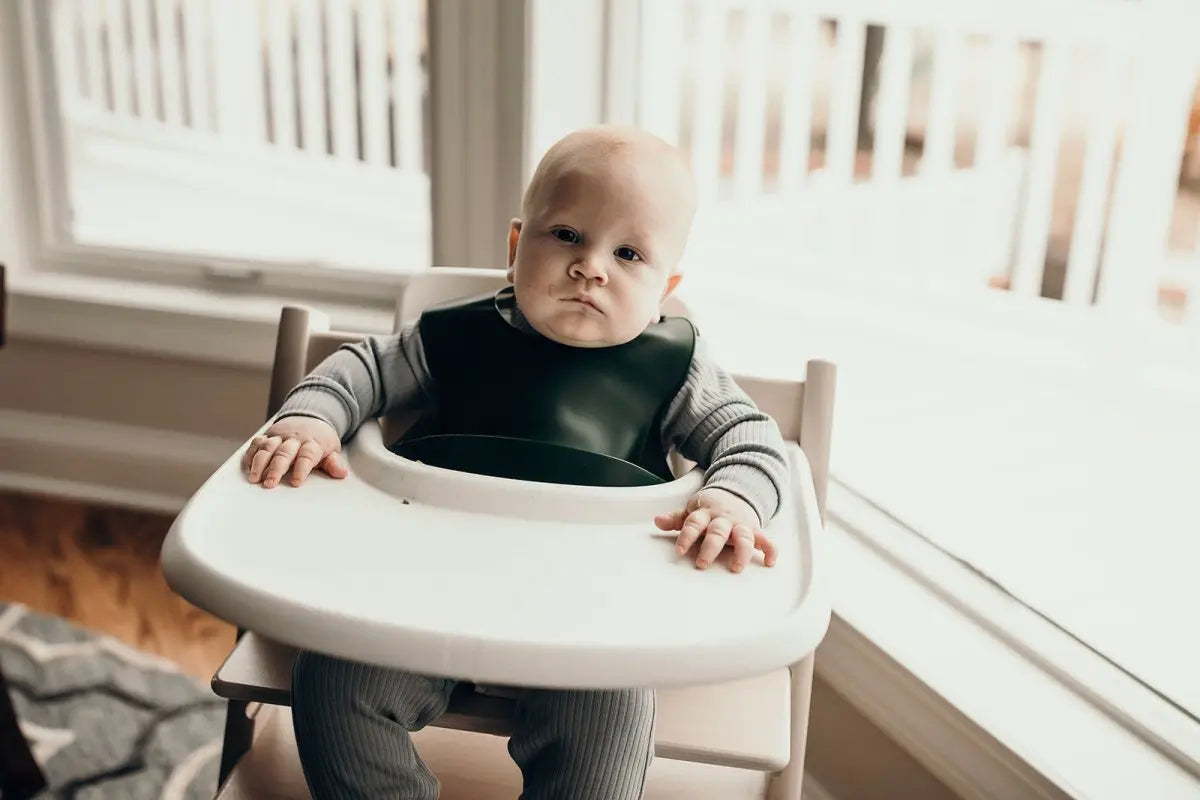Three Little Tots Forrest Green Silicone Bib with Crumb Catcher - 