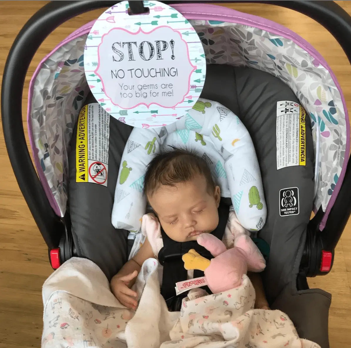 Three Little Tots Girl Arrows Stop No Touching Newborn Baby Car Seat Sign Tag - 